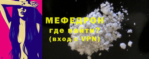 стаф Богданович