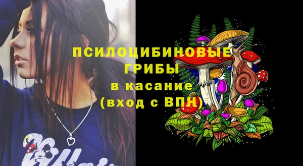 ГАЛЛЮЦИНОГЕННЫЕ ГРИБЫ Верхний Тагил