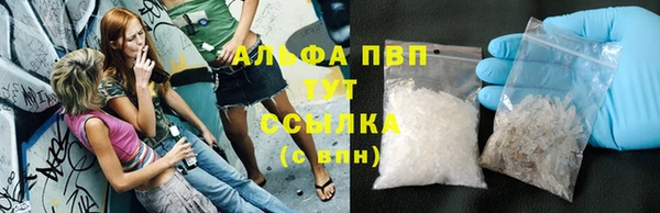 стаф Богданович