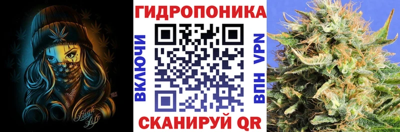 Канабис планчик  Купить где  Макаров 